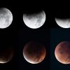 4- Tomohiro Oshumi shows the phases og Moon eclips over Tokyo Japan 